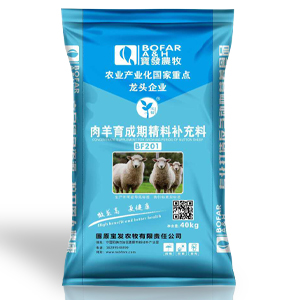 肉羊育成期精料补充料